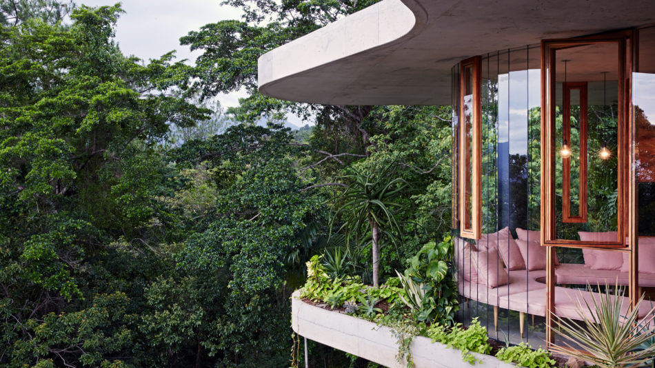 2015 Robin Boyd Award winner, Planchonella House by  Jesse Bennett Architect Builder. Photo: Sean Fennessy.